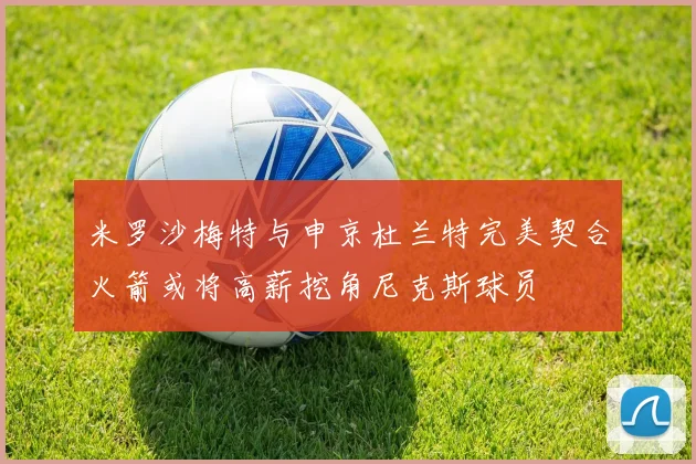 米罗沙梅特与申京杜兰特完美契合火箭或将高薪挖角尼克斯球员