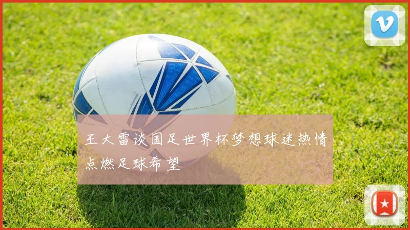 王大雷谈国足世界杯梦想球迷热情点燃足球希望